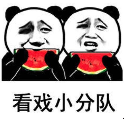 吃瓜娱乐小狗表情包,萌态可掬，笑点满满